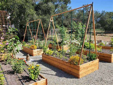 Building Your DIY Tomato Trellis: A Step-by-Step Guide