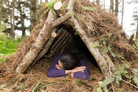Building Your Shelter
