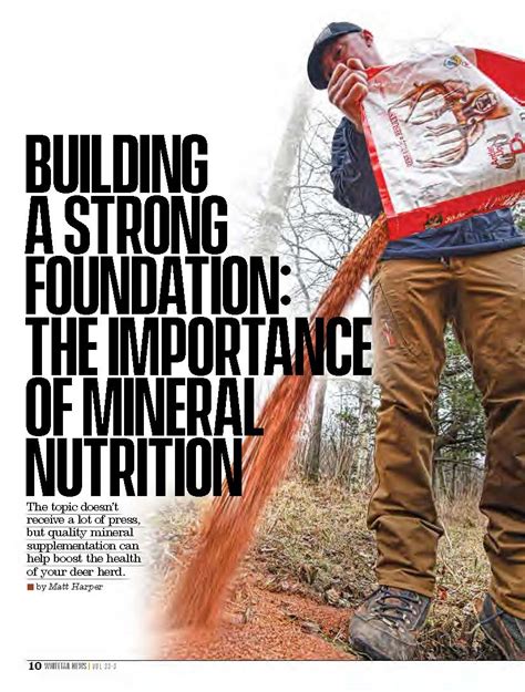 Building a Strong Foundation in Nutrition Science