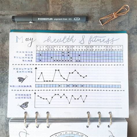 Bujo Health Tracker