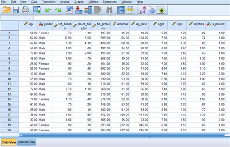 Buka Data Di Spss