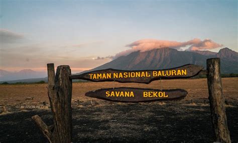 Bukit Baluran