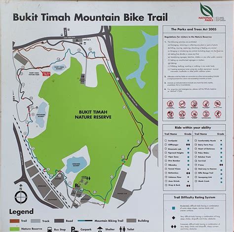 Bukit Timah Nature Reserve Singapore Bridge & How to Get There