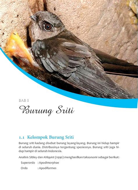 Buku 10 Cara Memancing Burung Sriti