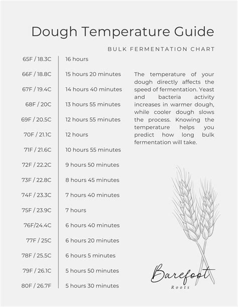 Bulk Fermentation Temp Chart