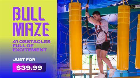 Bull Maze Obstacles