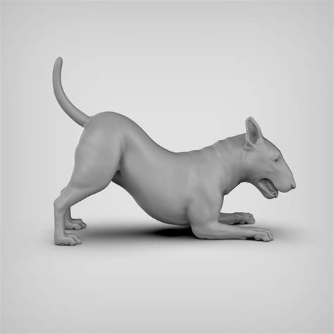 Bull Terrier Stl