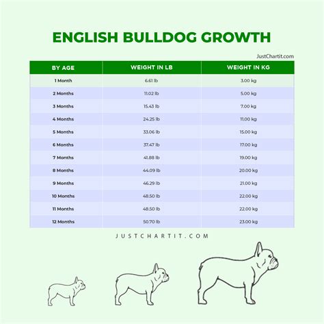 French Bulldog Puppy Feeding Chart By Weight Age