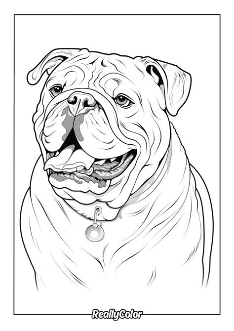 Bulldog Coloring Page