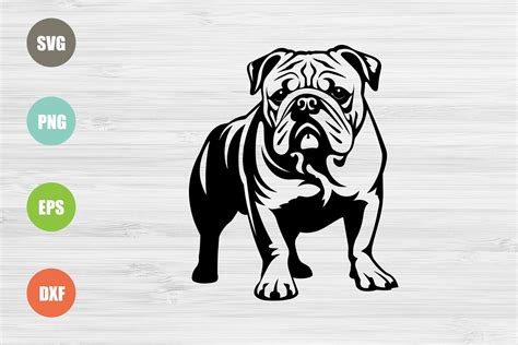 Unleash Your Creativity with Bulldog SVG - The Perfect Addition to Your Digital Design Arsenal