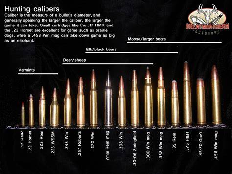 Bullet Size Chart For Rifles