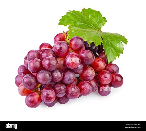 Bunch of Grapes