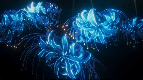 Bunga Spider Lily Biru: Keindahan Mekar dari Alam Tropis