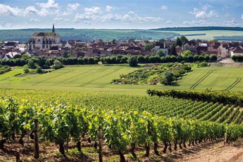 Burgundy Landscapes