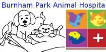 Top-notch Care for your Furry Friends at Burnham Park Animal Hospital in Chicago, IL