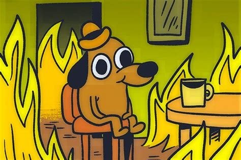 Burning House Dog Meme