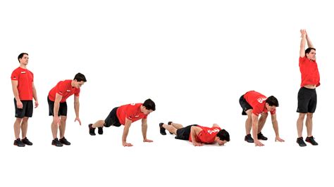Burpee S