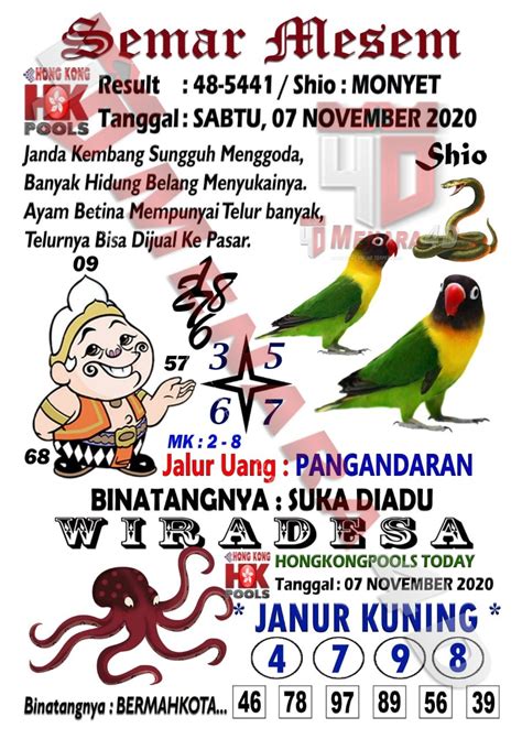 Burung Syair SGP