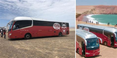 Bus Companies Peru