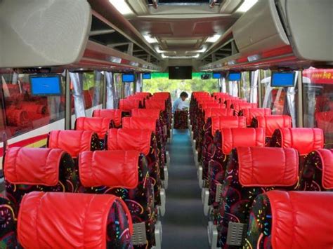 Bus cipaganti