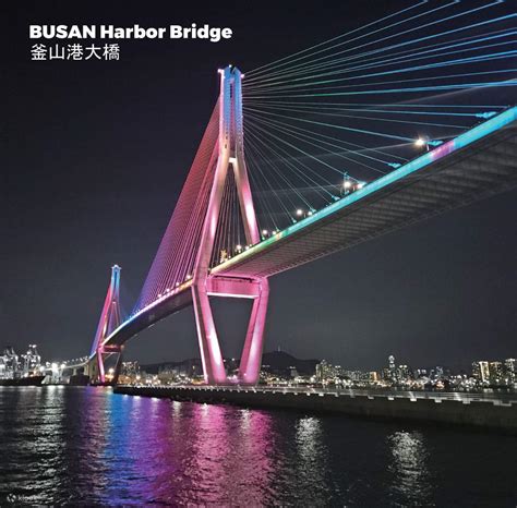 Busan Night Tour
