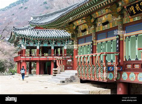 Busan Temple Complex