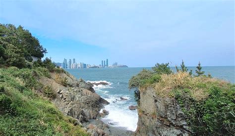 Busan coastline views