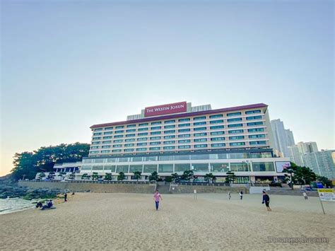 Busan hotel