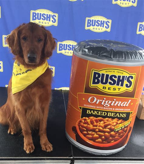 Bush Beans Dog Name