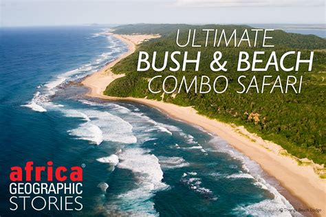 Bush and Beach tours