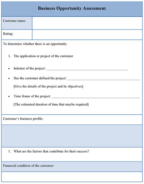 Business Opportunity Assessment Template