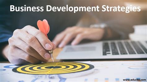 True Facts on Business Development Strategy Market by Business