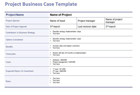 Business Case Project Management Template