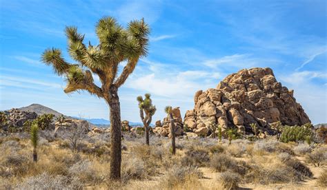 Business License Riverside County