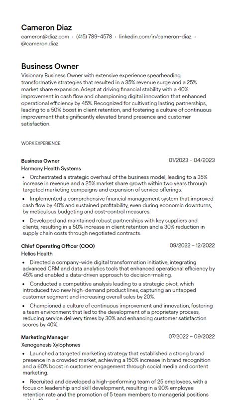 Business Owner Resume