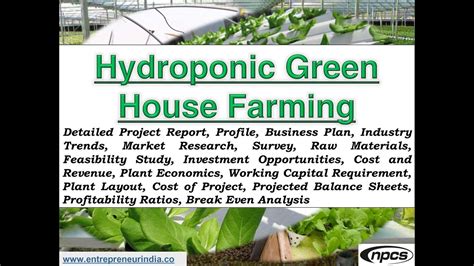 Business Plan Hydroponic Farm