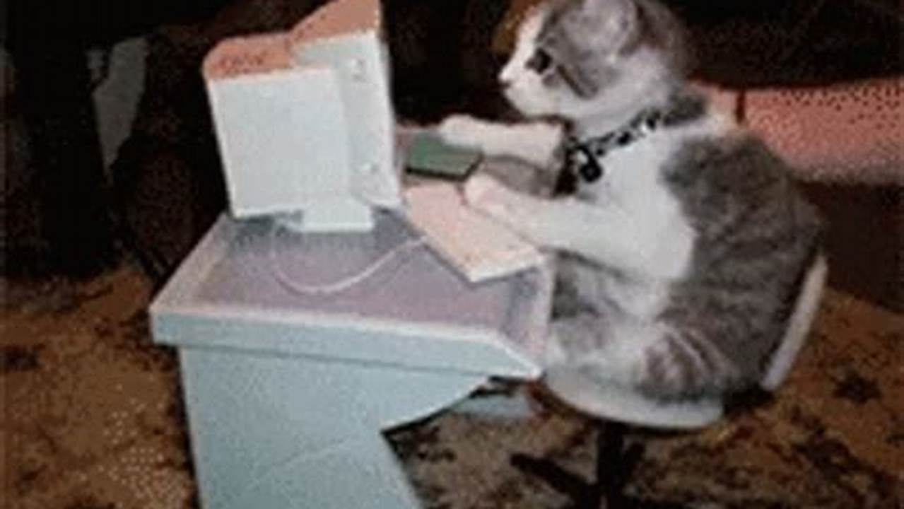 Busy Cat Typing Computer Gif., Images