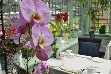 Butchart Gardens Dining