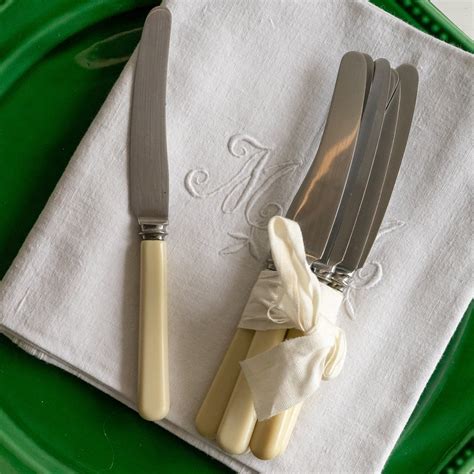 Butter Knife Faux Bone Handle