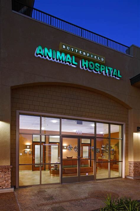 Trustworthy Pet Care: Butterfield Animal Hospital Temecula | Comprehensive Services and Expert Veterinarians