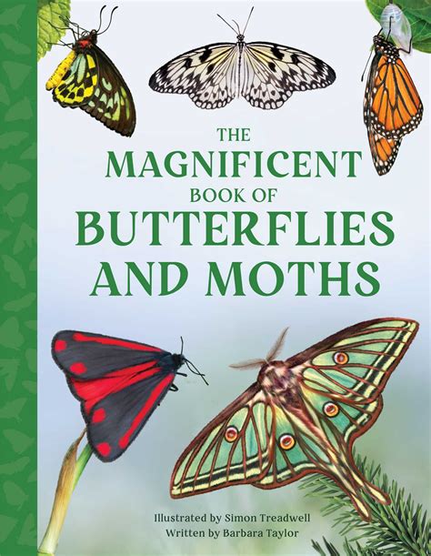 Download Butterflies and Book Images