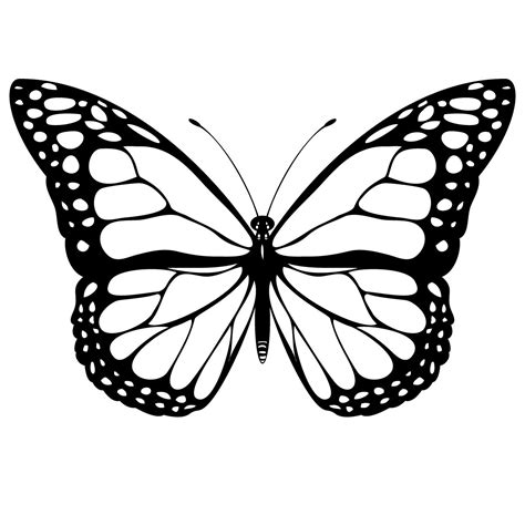 Free butterfly drawing to download and color Butterflies Kids