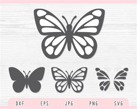 Download Butterfly 3d Svg Cut File Silhouette DXF Files