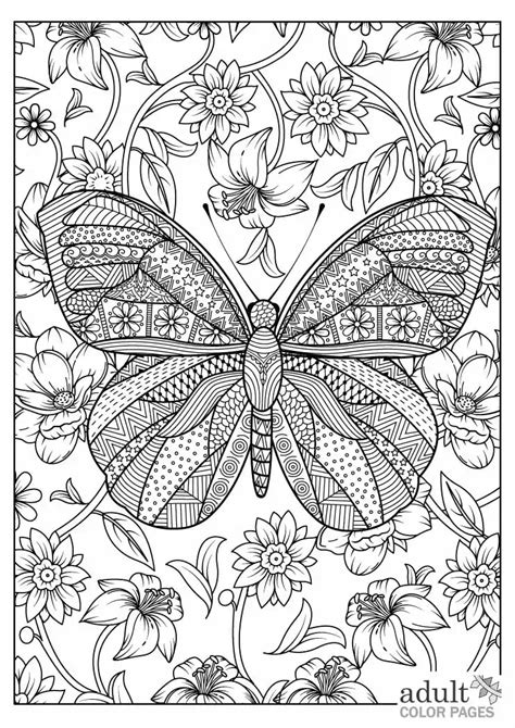 Butterfly Adult Coloring Pages