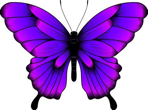 Download Butterfly Clipart Images