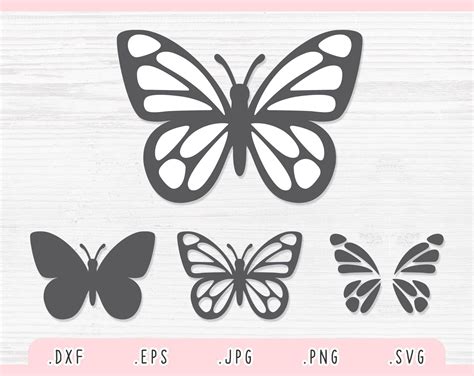 Download Butterfly Clipart SVG Set Files DXF Files