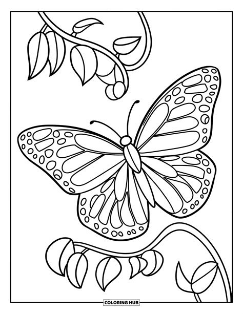 Butterfly Coloring In Pages Free