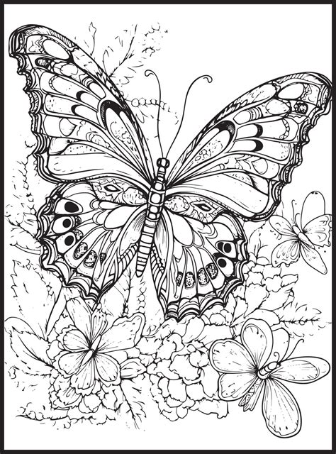 Butterfly Coloring Pages For Adults