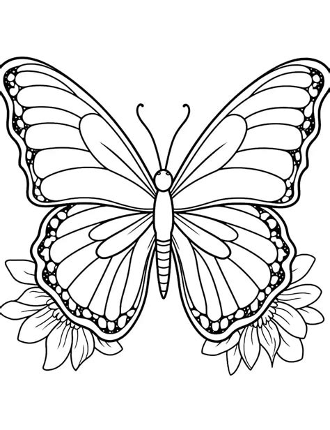 Butterfly Coloring Pages Free Printable