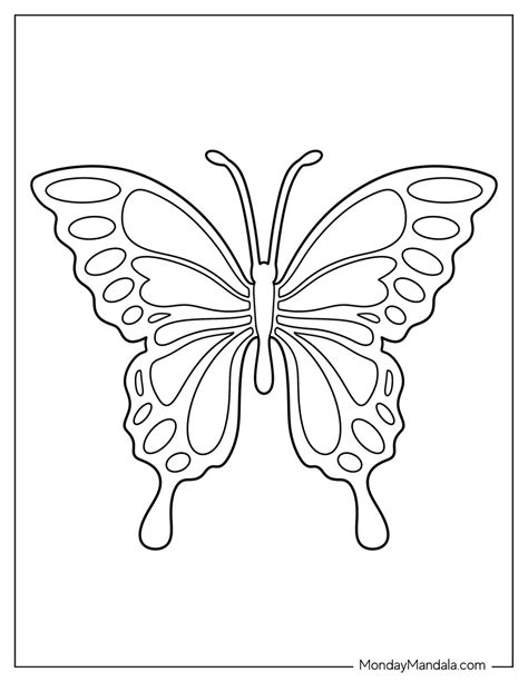 Butterfly Drawing Outline PDFs